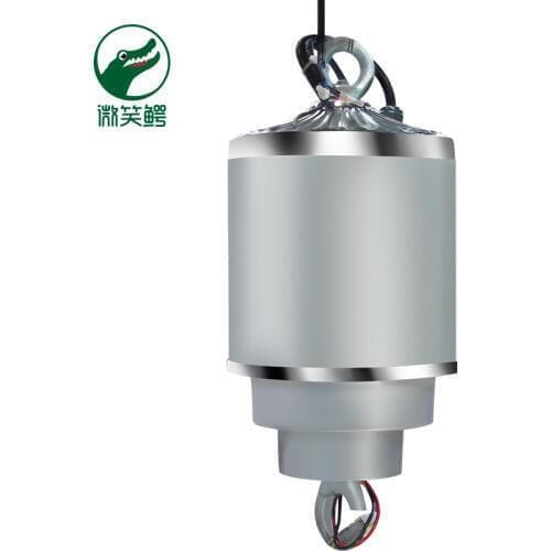 AMZHO 10 KG 12 M Chandelier Lift Remote Control Chandelier Hoist Electric Winch Lifting light