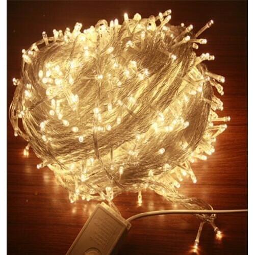 10pcs/lot 10M 20M 30M 50M 100M LED string Fairy light holiday decoration AC220V Waterproof outdoor light with controller
