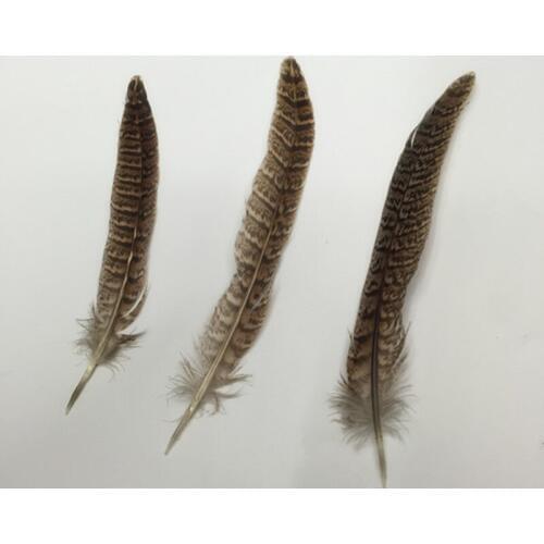 100Pcs/Lot 15-20CM Natural Hen Ringneck PHEASANT Quill FEATHERS Craft Millinery Fly Fishing for Headwear Feather Accessories