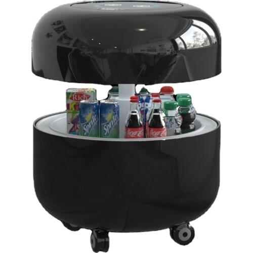 Mini Electronic Fridge Appliances Portable Small Car Refrigerator and Other Refrigerators & Freezers with Compressor for Sale