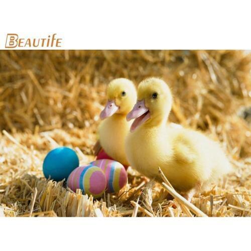 New Arrival duck Poster Cloth Silk Poster Home Decoration Wall Art Fabric Poster Print 30X45cm,40X60cm.50X75cm,60X90cm