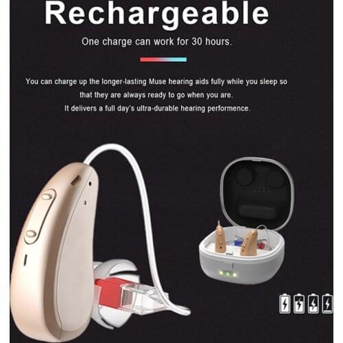 4 Channels Digital Rechargeable RIC Hearing Aid Invisible Earbuds With Recharge Charger Case Hearing Aid Dryer Hearing Aids