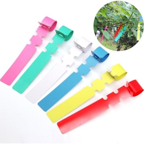 100Pcs Garden Plant Tags Nursery Label Hanging Tree Markers Seedling Plant Fruit Trees Signs Prompt Card Classification Tool