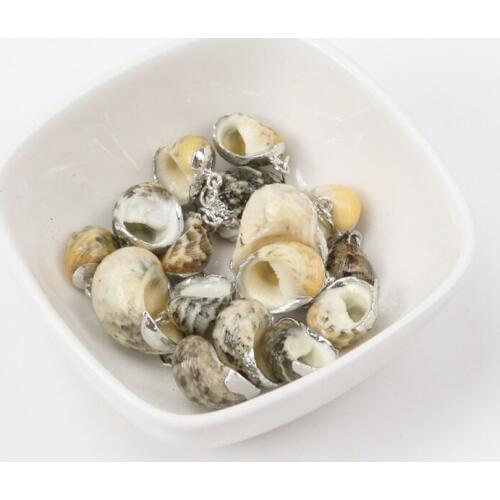 Natural Spiral Shell Charm Pendants Conch At Random Silver plated for jewelry making Diy 19mm 5pcs TRS0154X