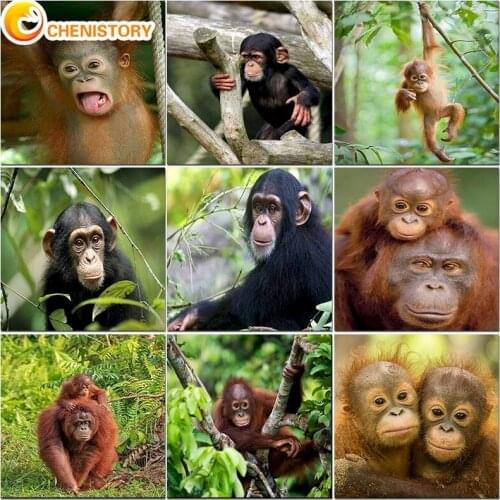 CHENISTORY DIY Oil Painting By Numbers Monkey Drawing On Canvas HandPainted Color Acrylic Paint Kit Wall Art Picture Home Decor