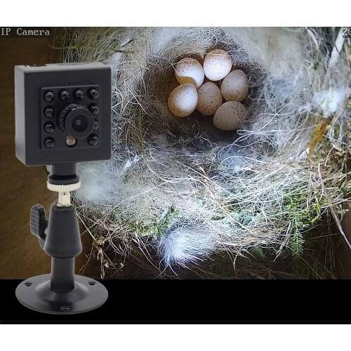 Camhipro 8MP 2MP 5MP HD SD Card Built-in Audio Video 940nm IR Night Vision Wifi Wireless IP Birdhouse Camera With Double Bracket