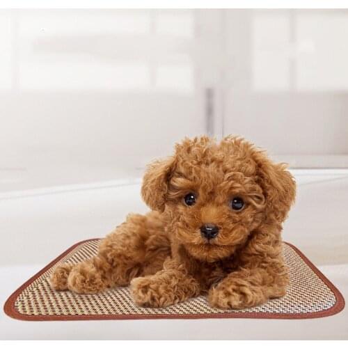Washable Summer Pet Straw Mat Dog Indoor Cooling Mat Cats Kennel Puppy Breathable Sleep Cushion Pet Supplies 5 Sizes Optional
