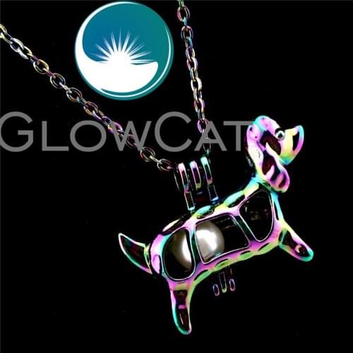 GLOWCAT R-C583 Colorful Puppy Dog Beads Cage Pendant Perfume Diffuser Aromatherapy Pearl Cage Locket Necklace