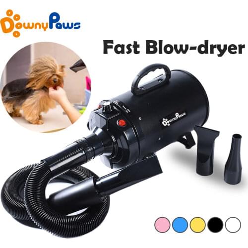 2800W Power Hair Dryer For Dogs Pet Dog Cat Grooming Blower Warm Wind Secador Fast Blow-dryer For Small Medium Large Dog Dryer