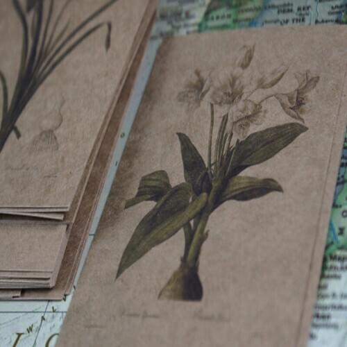 30sheets/PACK Plant Featured Series Postcards Invitation Greeting Kraft Paper Card writing to friends