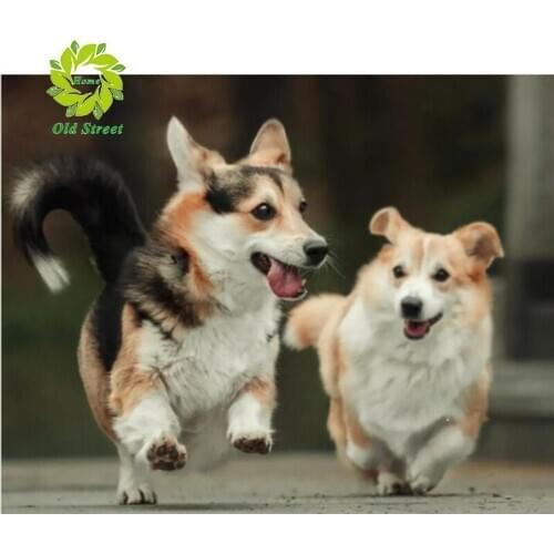 OSH NEW 5D DIY Diamond Painting Cross Stitch Full Square Picture of Rhinestone DIY Diamond Mosaic Diamond Embroidery Sale