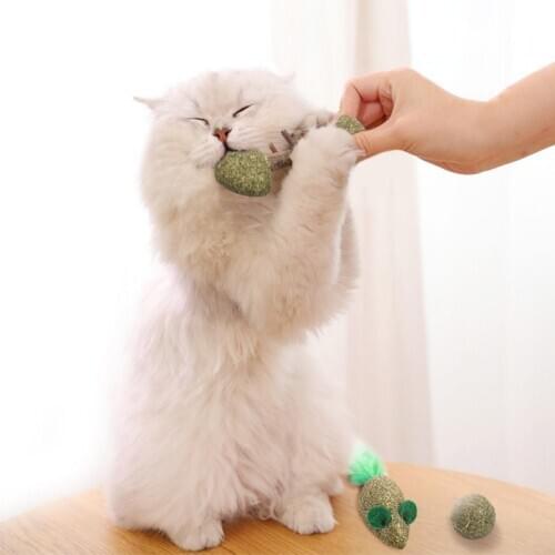 Pet Cat Removes Hairballs Chew On Wood Toys Safety Healthy Cat Mint Toy Pet Teeth Grinding Catnip Claws Cat Mint Scratcher