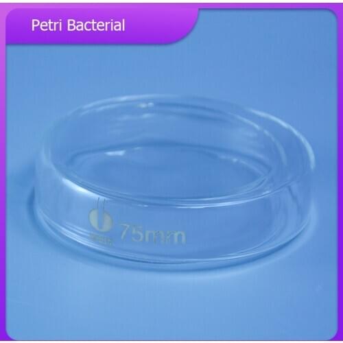 60mm/75mm/90mm/120mm/150mm Petri Bacterial Culture Dish Borosilicate 3.3 Glass Laboratory Chemistry Equipment