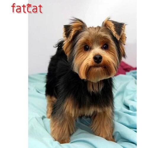 FATCAT Yorkshire Terrier diamond Embroidery sale pet dog 5d square Round Diamond Painting diamond mosaic 3d Picture kit AE469