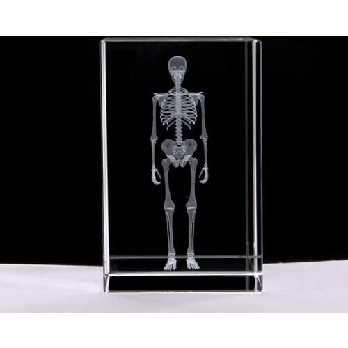 3d Crystal Human Skeleton model Medical Teaching Crystal Stereo education model 5*5*8cm