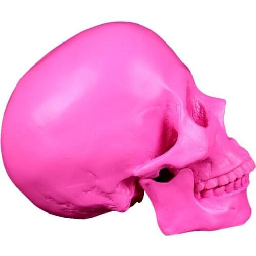 19cm Animal Skull Resin Crafts Horror party Decoration Halloween Decor Fish Tank Waterscape Cave Personalized Decoration