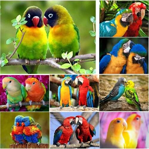 New 5D DIY Diamond Painting A Pair Parrot Diamond Embroidery Animal Cross Stitch Full Square Round Drill Crafts Home Decor Gift