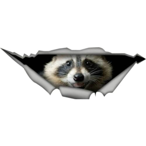 13cm x 5cm Raccoon car decal Laptop Decal 3D Pet Graphic Vinyl Decal Car Window Laptop Bumper Car Stickers