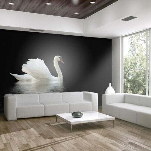 Wall mural-Swan (black & white)-350x270 cm
