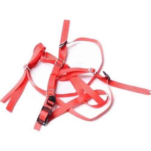 RC Crawler Spare Tire Wheel Anti-Slip Belt for RC Car Traxxas Axial SCX10 RR10 90050 TRAXXAS UDR LOSI BAJA 1PCS,Red