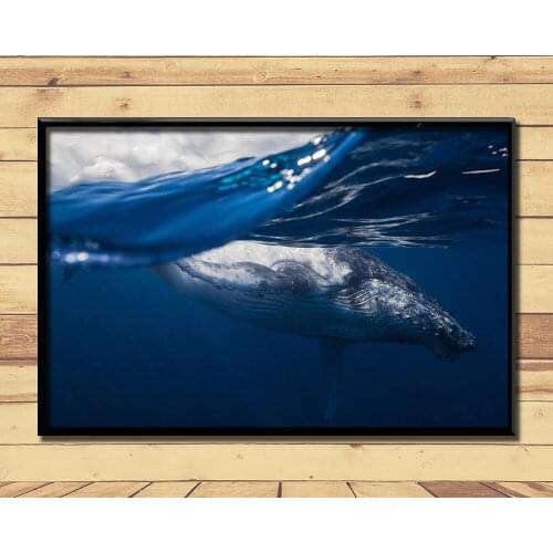 Humpback Whale Ferocious Giant Marine Animal (7) Wall Posters Prints Silk Art Painting For Home Wall Bedroom Decor
