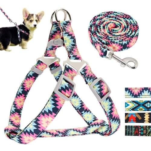 Adjustable Nylon Dog Harness Leash Set Printed Puppy Vest Pet Walking Training Leash Lead For Small Medium Dogs Chihuahua Perros