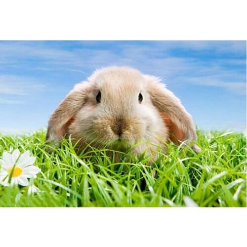 5D new version DIY diamond painting cute animal rabbit mosaic embroidery animal home furnishings cross stitch embroidery crafts