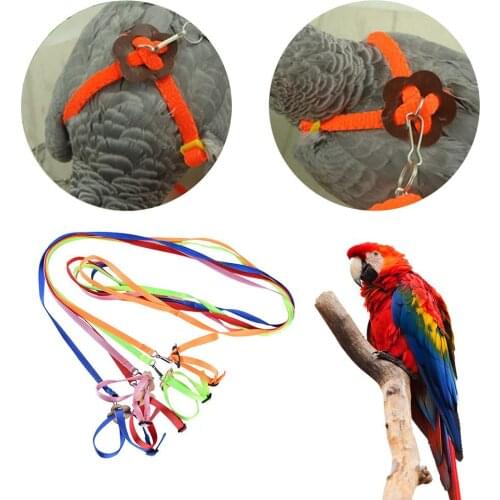 Small Pet Bird Harness Leash Anti-bite Outdoor Flying Training Rope For Parrot Mouse Hamster Ferrets Cockatoo Macaw Cockatiels