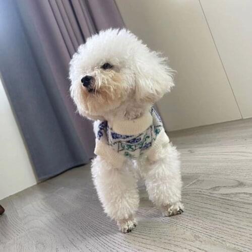 Chinese New Year Dog Clothes Cat Dog Sweater Coat Puppy Outfit Garment Chihuahua Yorkshire Pomeranian Poodle Schnauzer Clothing