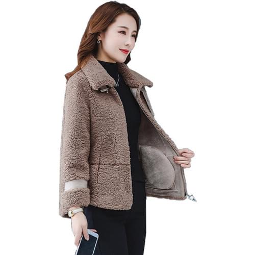 Short fur coat autumn winter woman 2020 fashion all-match plush fleece jacket female loose western style plush Parkers overcoat