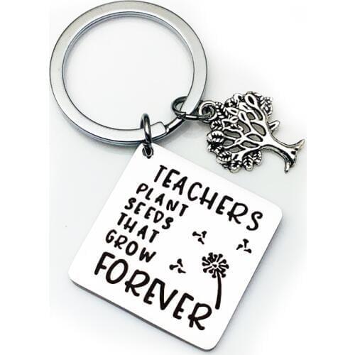 Oeinin Simple Keychain Men Teacher Plant Seeds That Grow Forever Women Personality Keyring Keychain Alloy Stainless Steel Brelok
