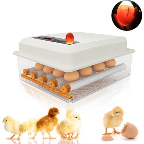 Washable Nesting Box Pads for Chicken Poultry Bottom for Chicken COOP Hen House Poultry Nest
