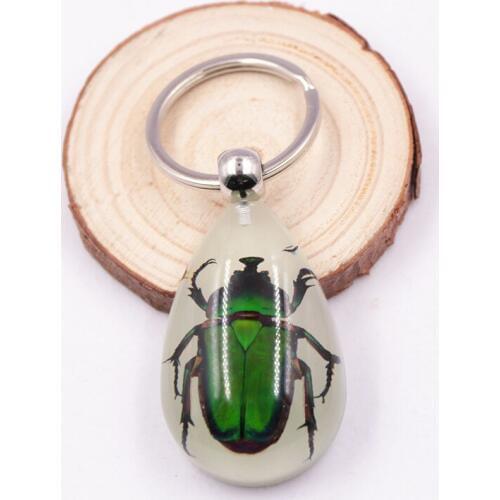 Luminous Real Scorpion Key Chain - New Luminous Product Real Crab and Scorpion Keychain bag Car key Ring