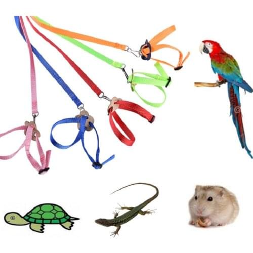 Pet Bird Harness and Leash Adjustable Parrot Bird Harness Leash Pet Anti Bite Training Rope Soft Portable Pet Playthings