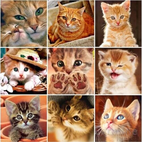 DIY 5D Diamond Cute Cat Rhinestone Painting Cross Stitch Embroidery Mosaic Wall Sticker Full Round&Square Drill Home Decoration