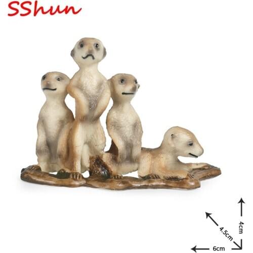 Children simulation wild animal model toy solid static suricate raccoon coypu scene decoration ornaments