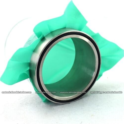 CMAM/12600 Dental- Practice model of Oral suture skill, Human Oral Dental Medical Teaching Anatomical Model