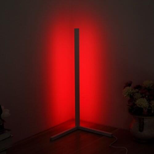 Modern Style Iron Painted Floor Lamp Nordic RGB Corner Floor Lamp 30 LED Standing Lights for Bedroom Atmosphere Decor