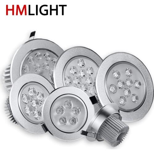 LCFOCUS Spotlights