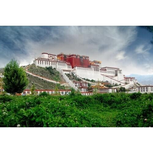 Mysterious The Potala Palace photo background vinyl fairy photography backdrops for photo Studio accessories photophone CM-1657