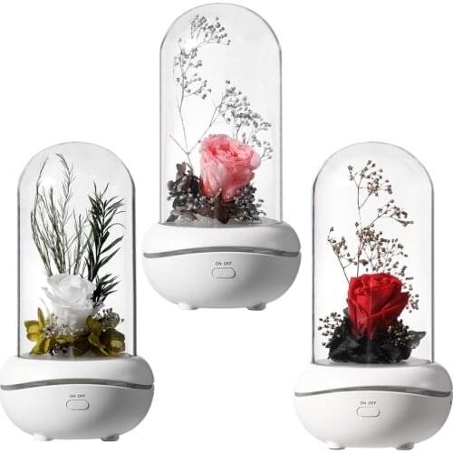 Rose Lamp Preserved Rose in Glass Dome Romantic LED Rose Lamp for Women