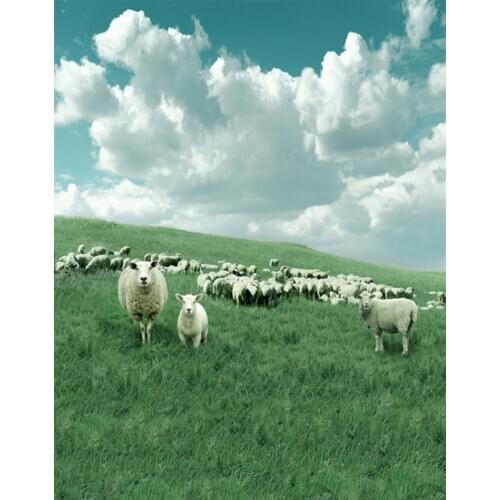 5x7ft Lawn Grass Animal Sheep Photography Backdrops Photo Props Studio Background