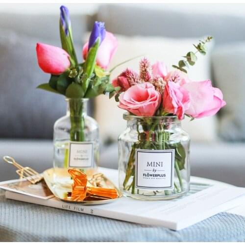 Home Desktop Small Vase Nordic Flower Glass Crafts Desktop Decoration