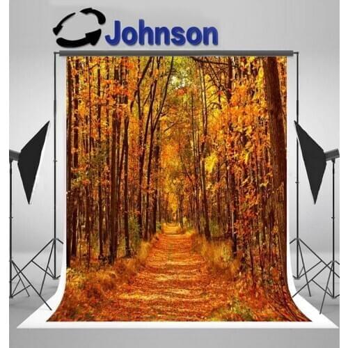 Autumn Forest Scenery Road Fall Leave Light Gold Foliage Nature backdrop Computer print scenic backgrounds