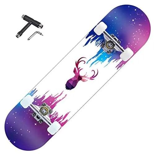 Skateboard 31" with High Elastic 4 PU Wheel 7 Layer Maple Double Warp Metal Bearing for Boy Girl Kids Beginner Skateboards