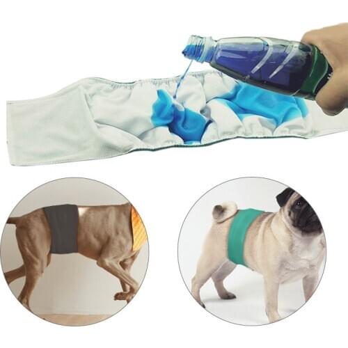 5 Colors Dog Diaper Sanitary Physiological Pants Washable Male Dog Shorts Panties Menstruation Underwear Brief Dog Nappy XS-XL
