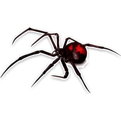 Dawasaru Black Spider Car Sticker Waterproof Personalized Decal Laptop Suitcase Truck Motorcycle Auto Accessories PVC,13cm*7cm