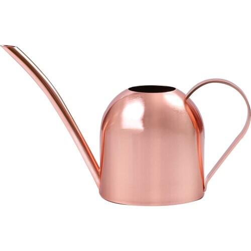 Long Mouth Water Cans Stainless Steel Watering Bottle Succulent Plants Gardening Spraying Bottle Watering Pot Garden Tool 500ML