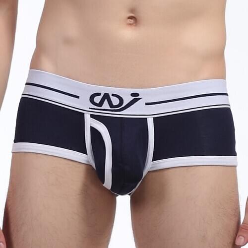 Sexy Men GAY Underwear Boxer Shorts Trunks Cotton Modal Mens Underwear Boxers Penis Pouch U Convex Man Underpants