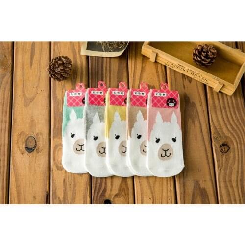 2021 Summr New Cartoon Socks Kawaii Lovely Cotton Socks Breatheable Short Boat Socks 1 Pair Casual Color Socks for Woman